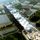 洛阳牡丹开成了调色盘